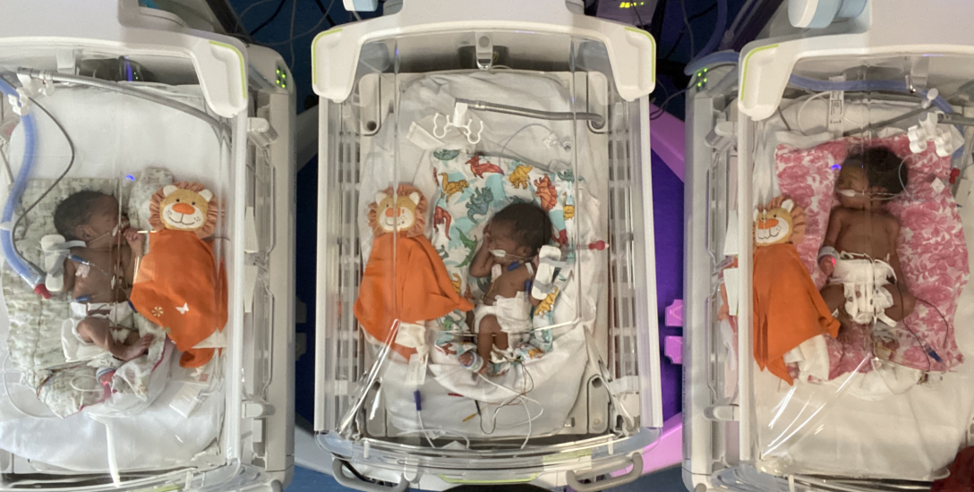 Three 'BabyLeo' incubators in use for the first time
