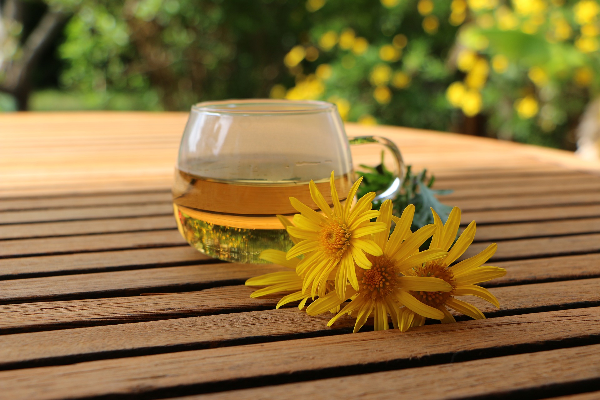 A relaxing cup of tea in a garden